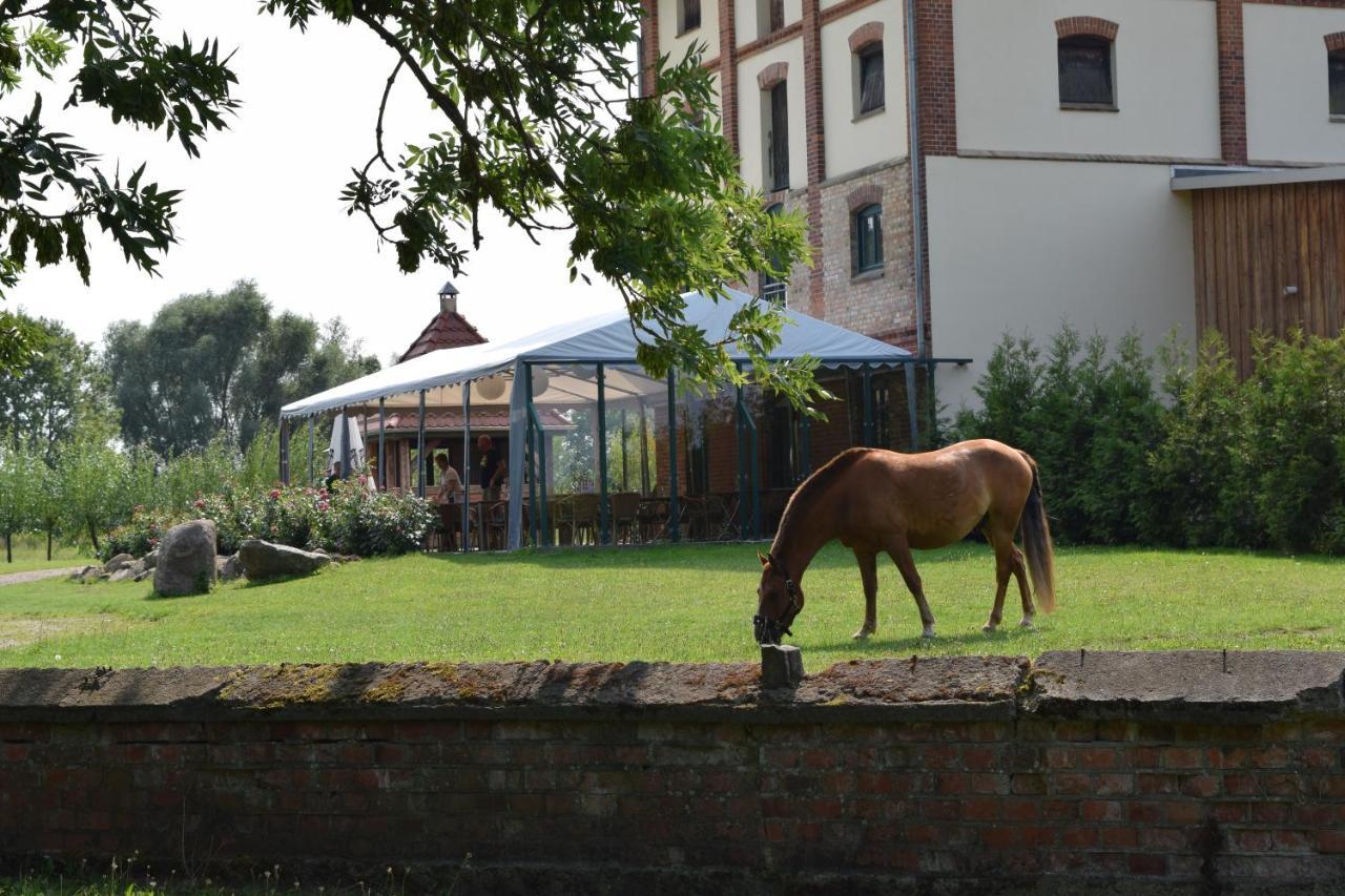 Ferienanlage Gutshaus Gramkow Esterno foto