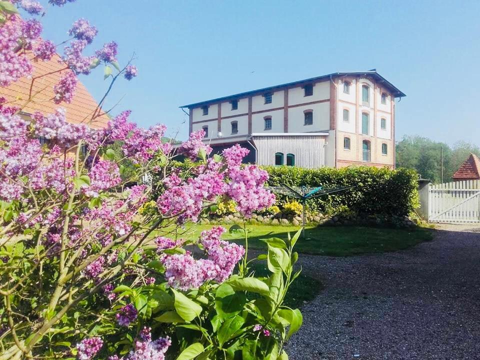 Ferienanlage Gutshaus Gramkow Esterno foto